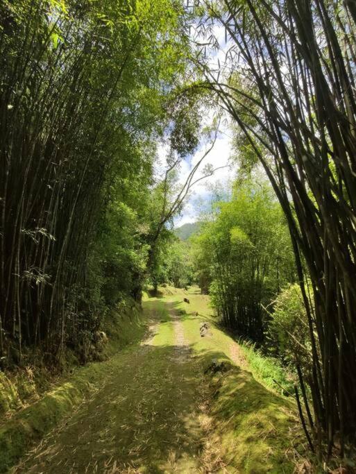 Linda Casa Em Visconde De Maua Perto Da Cachoeira Villa Buitenkant foto